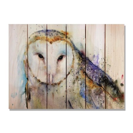 RICKI&APOSS RUGS 33 x 24 in. Crousers Barn Owl Inside & Outside Cedar Wall Art RI890967